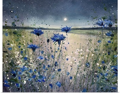 Cornflowers And The Moon No 1