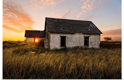 Golden Hour On The Homestead