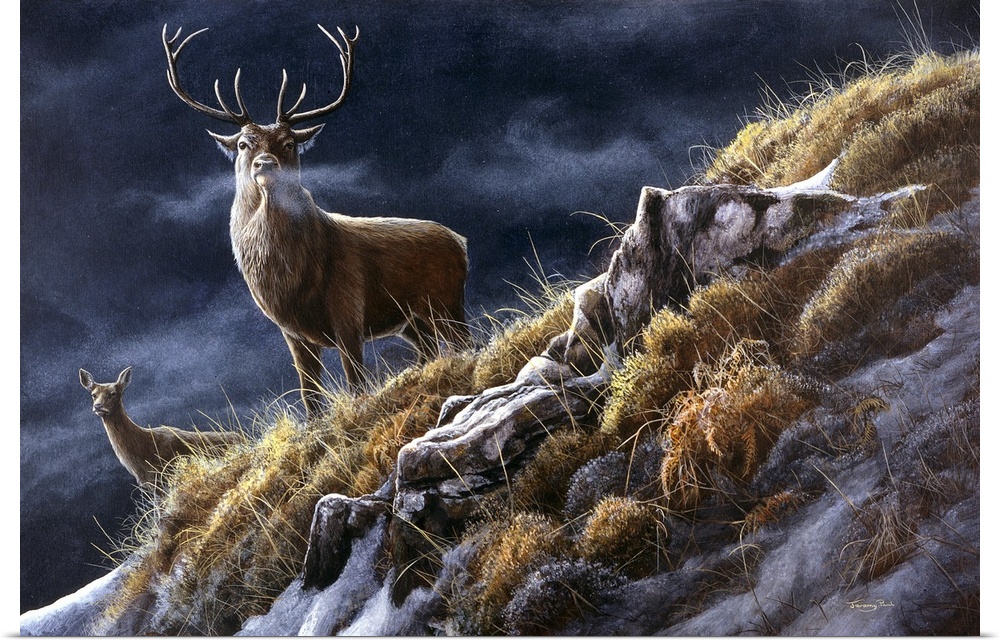 A life-like traditional style wildlife painting of a buck deer with antlers standing on a snowy, grassy hillside