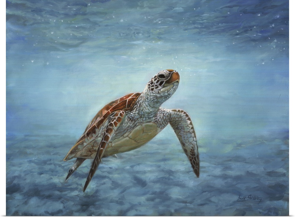 Sea turtle. Aquatic wildlife. Originally oil on canvas.