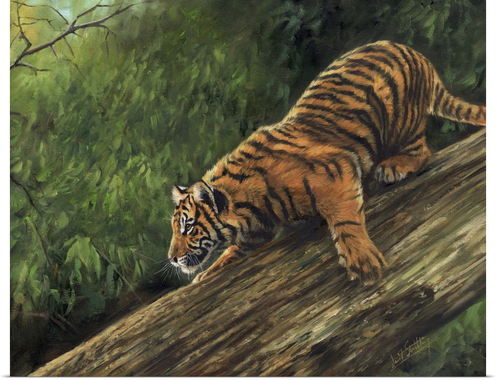 Originally an oil painting on canvas depicting an Amur Tiger descending a tree trunk.