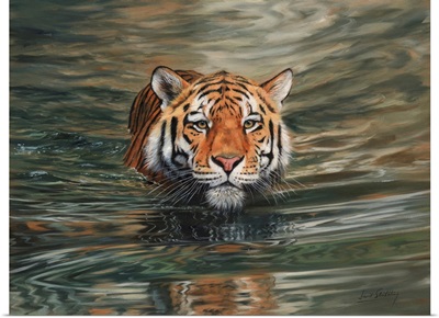 Tiger Water Swimming