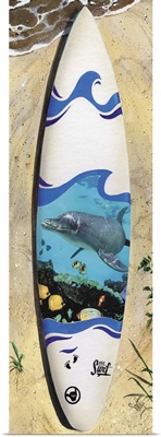 Dolphin Board