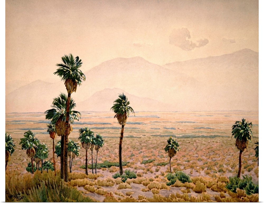 Palm Springs Desert