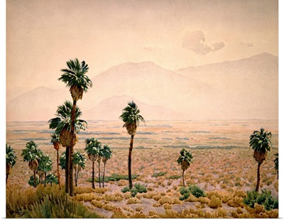 Palm Springs Desert