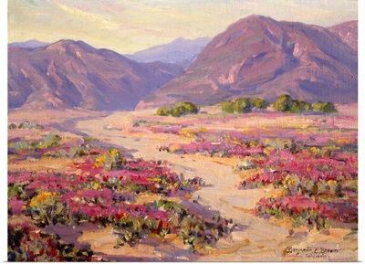 Spring Bloom in the Desert