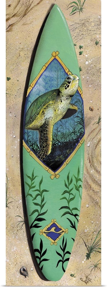 Turtle Board