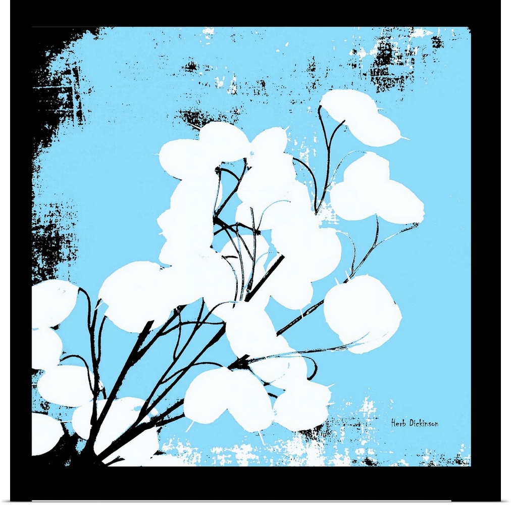 Square silhouetted painting of a money plant in black, white, and light blue.