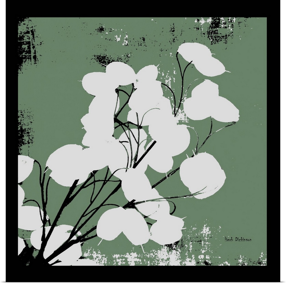Square silhouetted painting of a money plant in dusty green, black, and white with a black boarder.