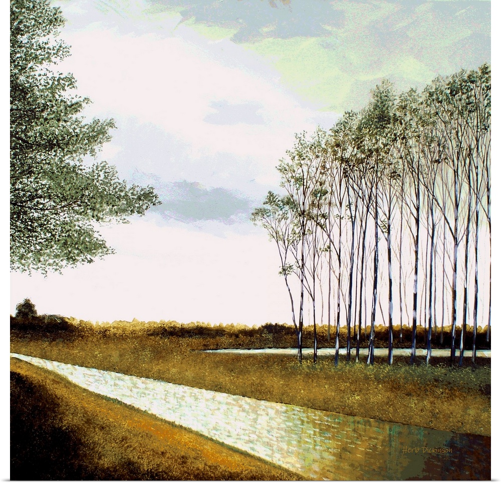 Landscape with skinny trees and a stream running through the middle.