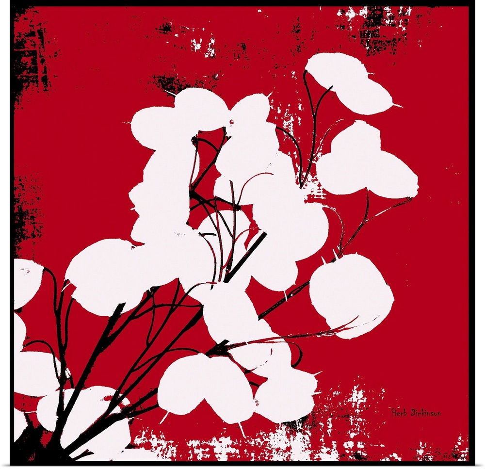 Square silhouetted painting of a money plant in red, black, and white with a black boarder.