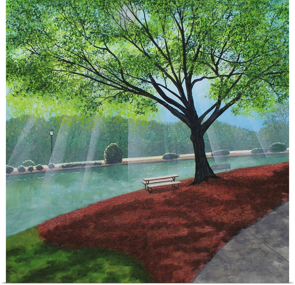 Freedom Park landscape painting on a square canvas with light beaming onto the water behind the trees.