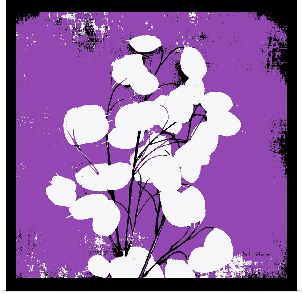 Square silhouetted painting of a money plant in bright purple, black and white with a black boarder.
