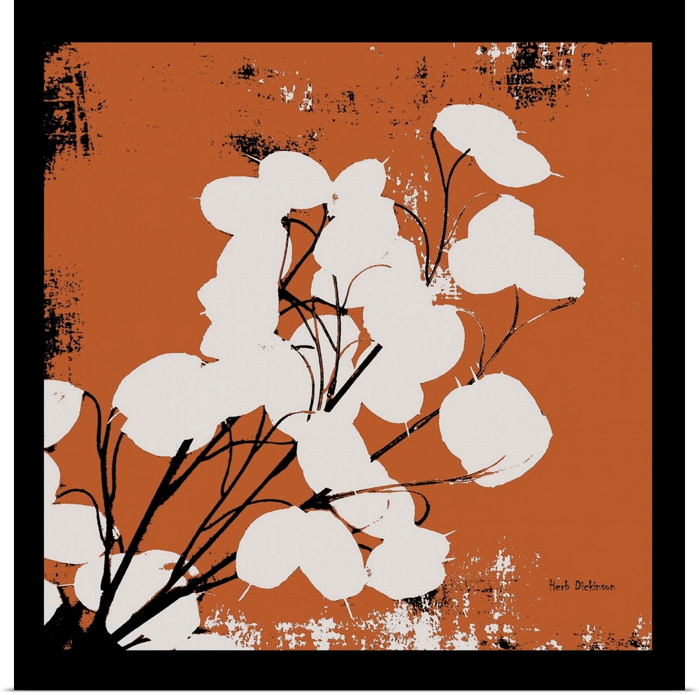 Square silhouetted painting of a money plant in orange, black, and white with a black boarder.