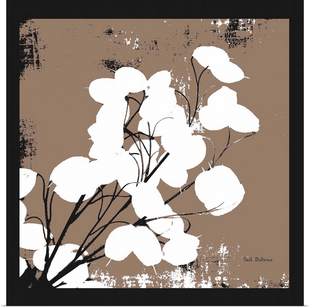 Square silhouetted painting of a money plant in black, white, and brown.