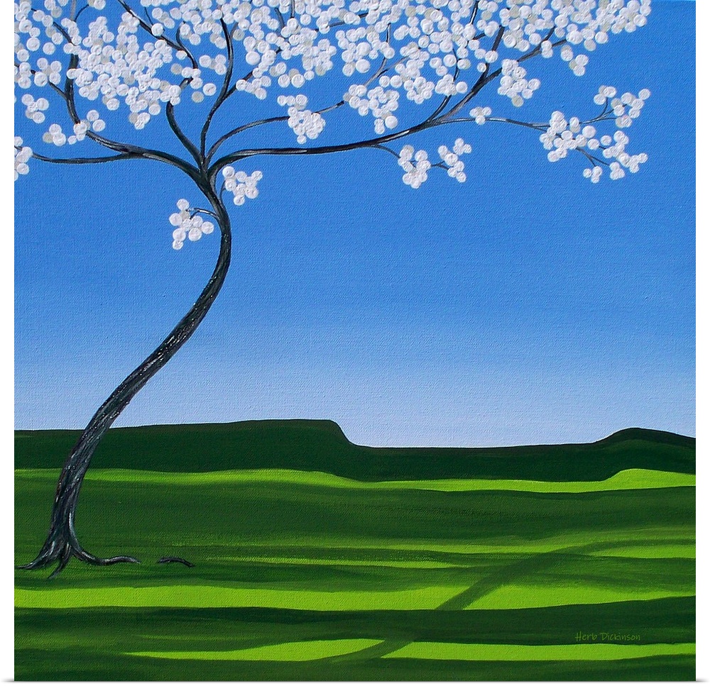 Winding Spring tree with white blossoms in a blue and green landscape setting and a square background.