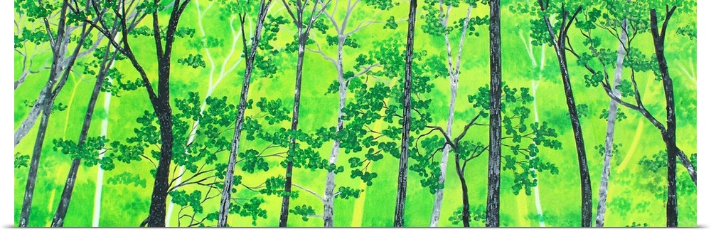 Bright green landscape filled with trees.