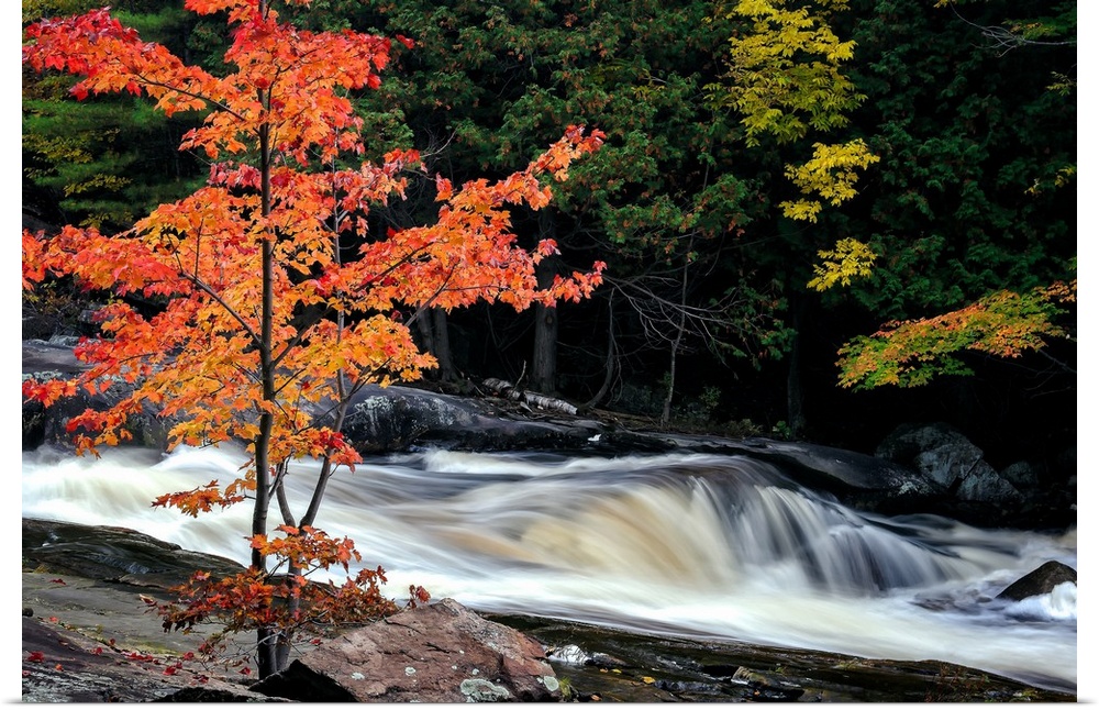 A photograph of Lower Rosseau Falls in  Ontario during fall.