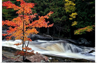 Autumn, Lower Rosseau Falls
