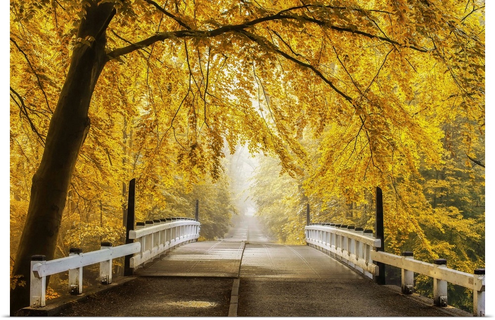 Beautiful fall landscape of a bridge and road going off in the distance, surrounded by bright yellow leafed trees.