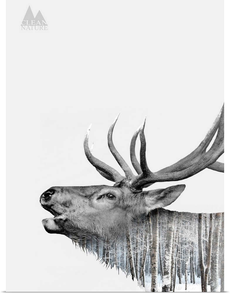 A composite image of a deer merged with an image of a forest covered in snow.