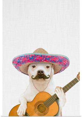 Dog Guitarist