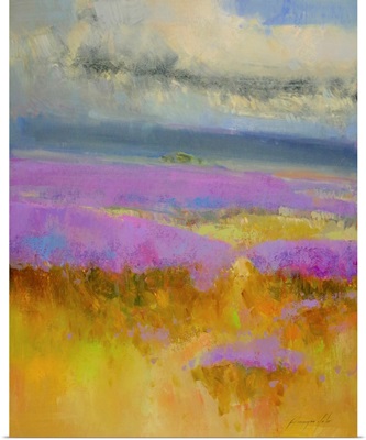 Field of Lavenders 1