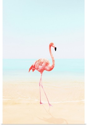 Flamingo on the Beach II