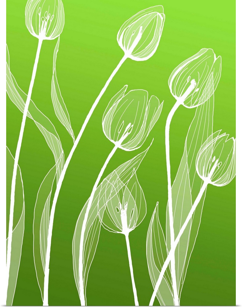 A digital illustration of white flowers against a green background.