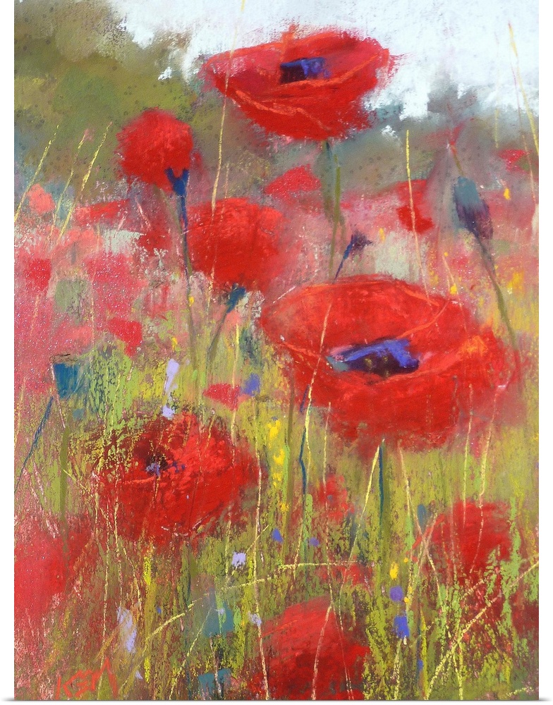 Contemporary watercolor painting of a field of red poppies.