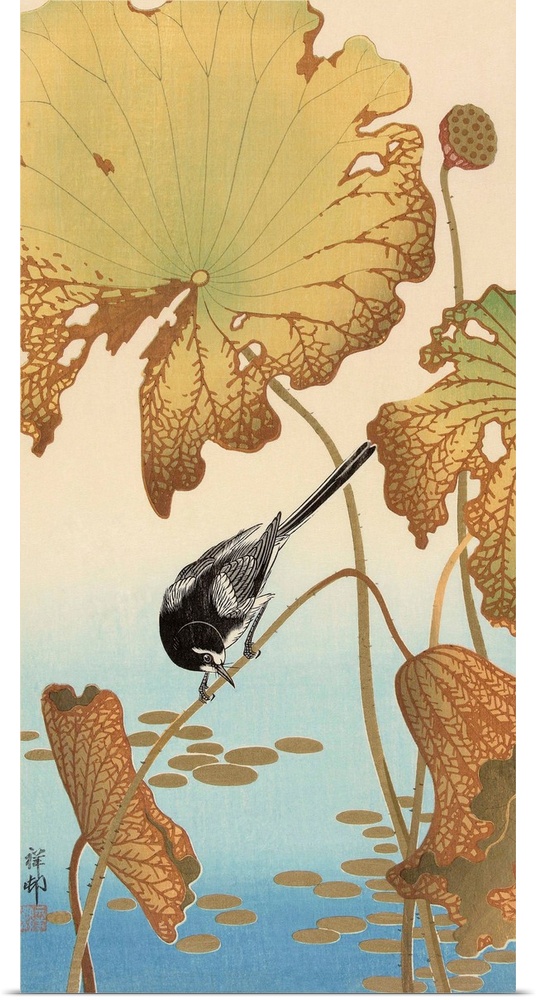 Japanese Wagtail on Lotus Plant, 1925-1936