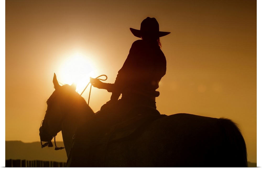 Sunset shot of Cowgirl on Horse