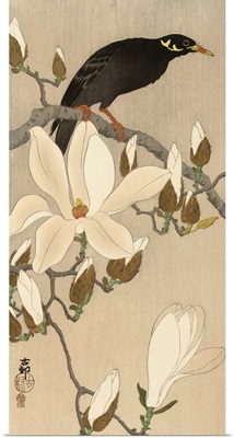 Myna on Magnolia Branch, 1900-1910