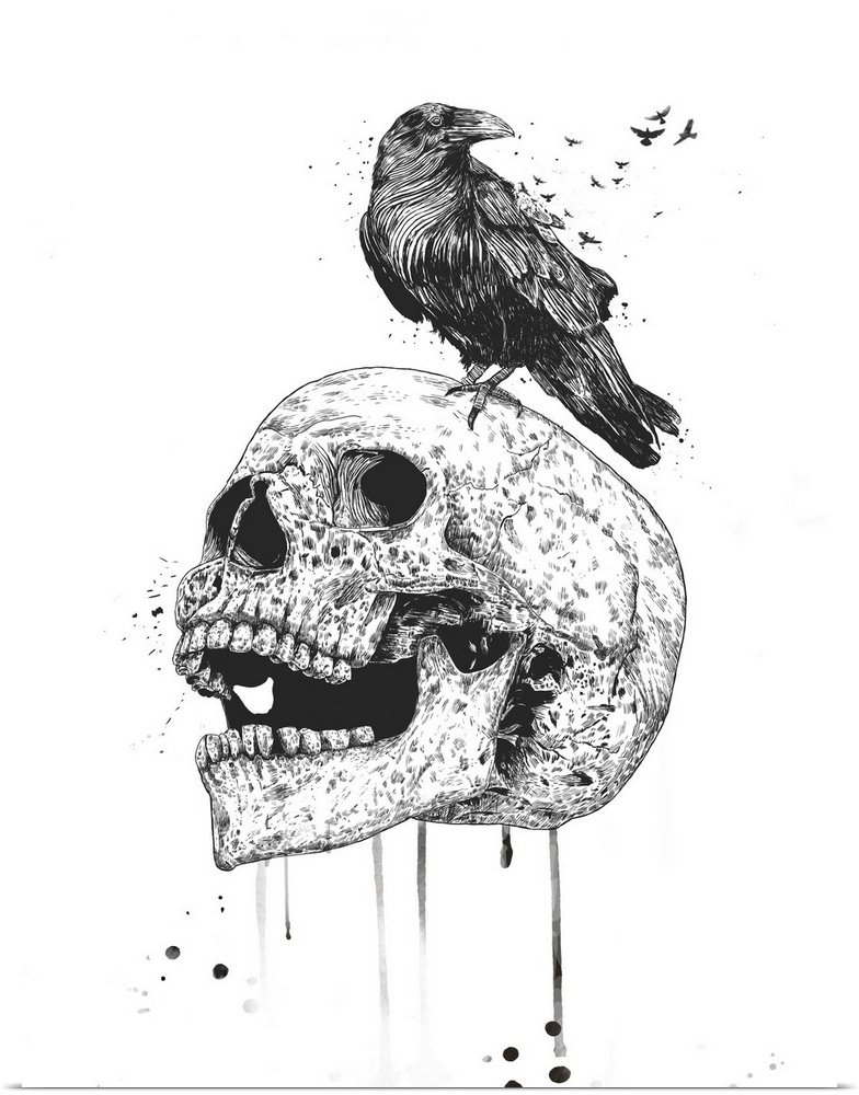 Surrealistic illustration of a raven sitting atop a skull.
