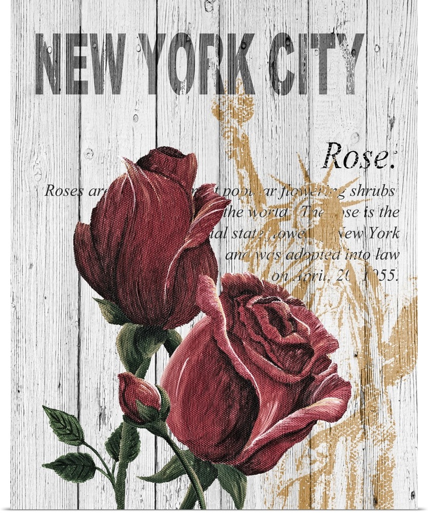 New York Roses