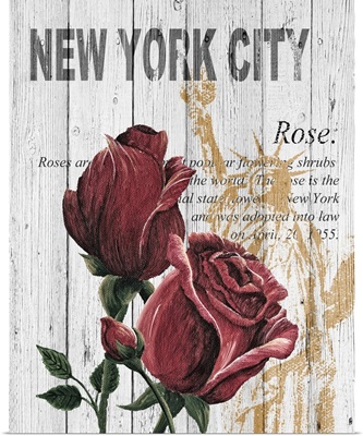 New York Roses