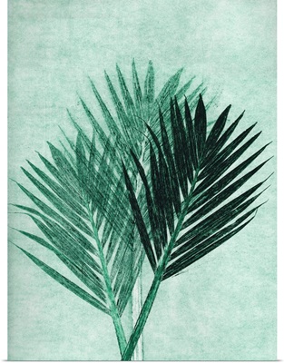 Palm 4 Green