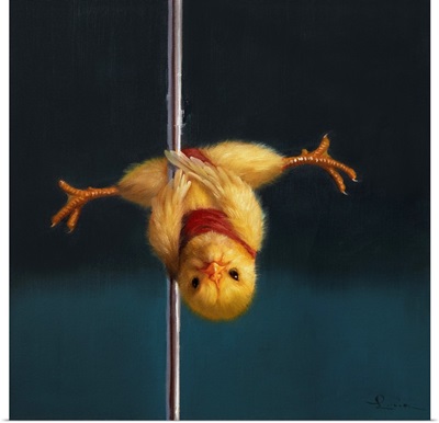 Pole Chick Inverted V