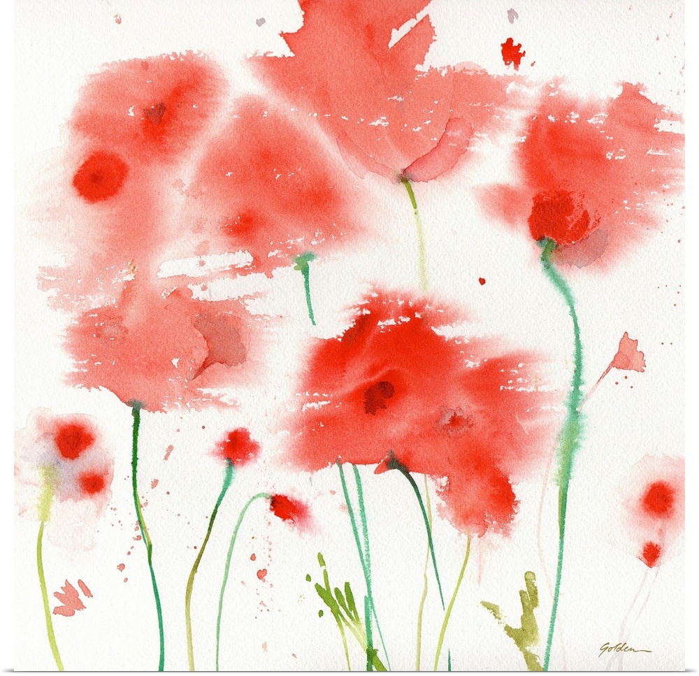 Contemporary watercolor painting of poppies.