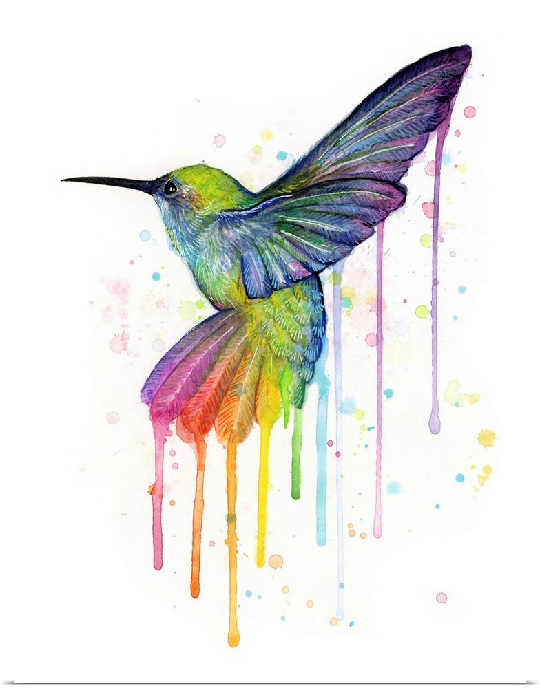 A contemporary watercolor painting of a hummingbird with rainbow tail feathers.