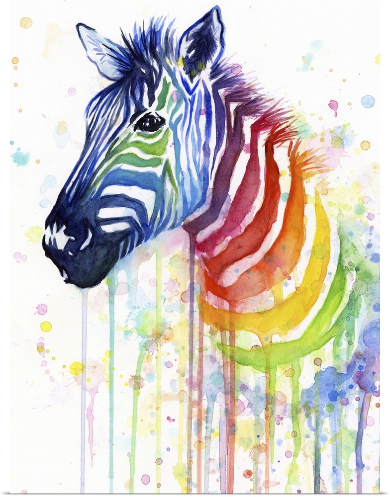 A contemporary watercolor painting of a zebra with a the stripes running down the neck becoming a rainbow.