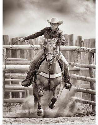 Ride 'Em Cowgirl