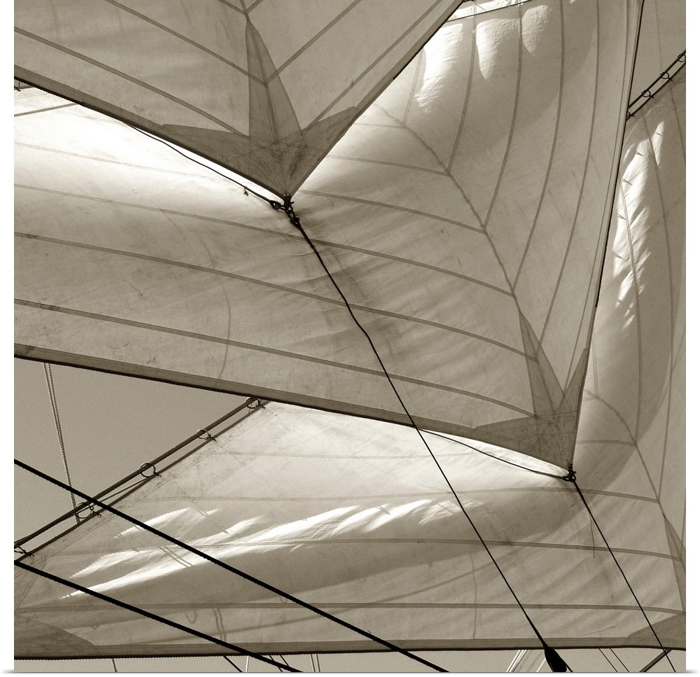 Monochromatic image of multiple sails on a sailboat.