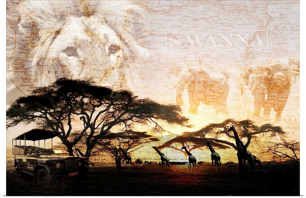 Horizontal collage of the "Savanna"  including images of a lion, elephants and giraffes.