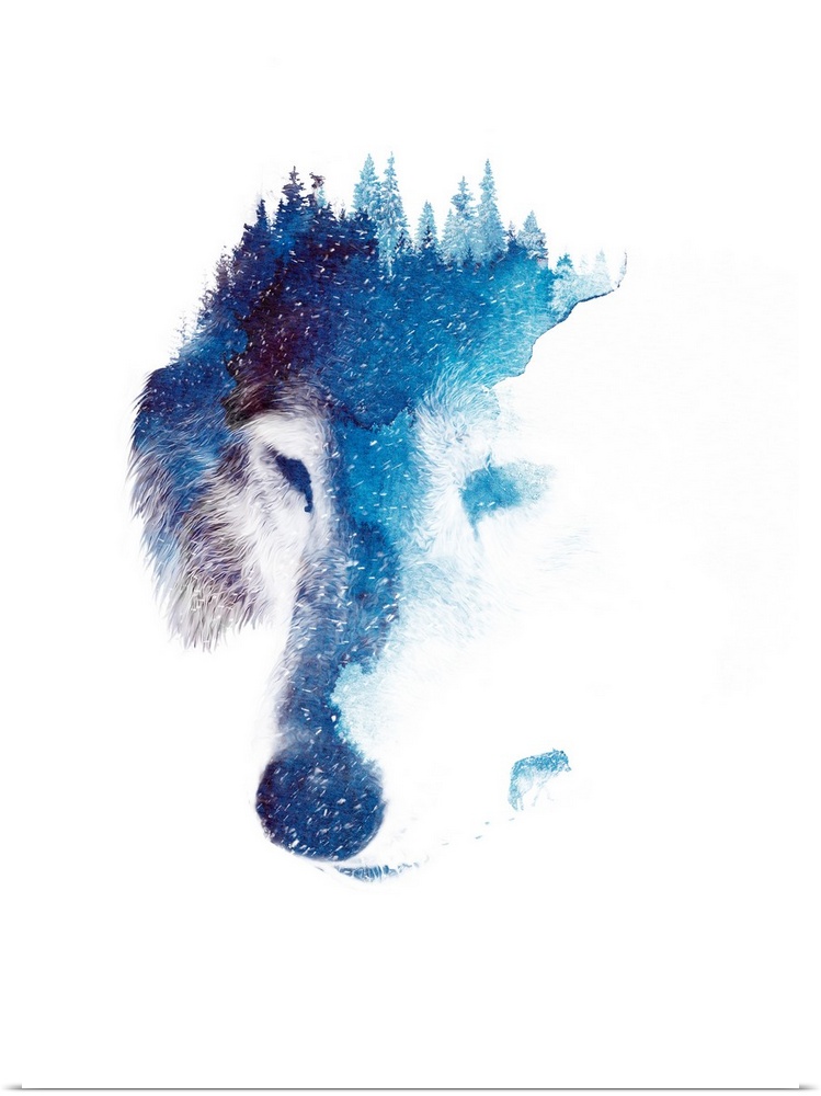 Double exposure artwork featuring the head of a wolf with a forest exposed on top.