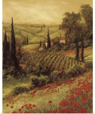 Toscano Valley II