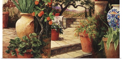 Turo Tuscan Orange