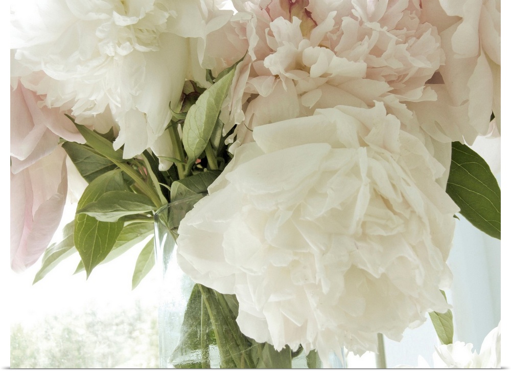 A close up photograph of a bouquet of pale pink and white flowers.