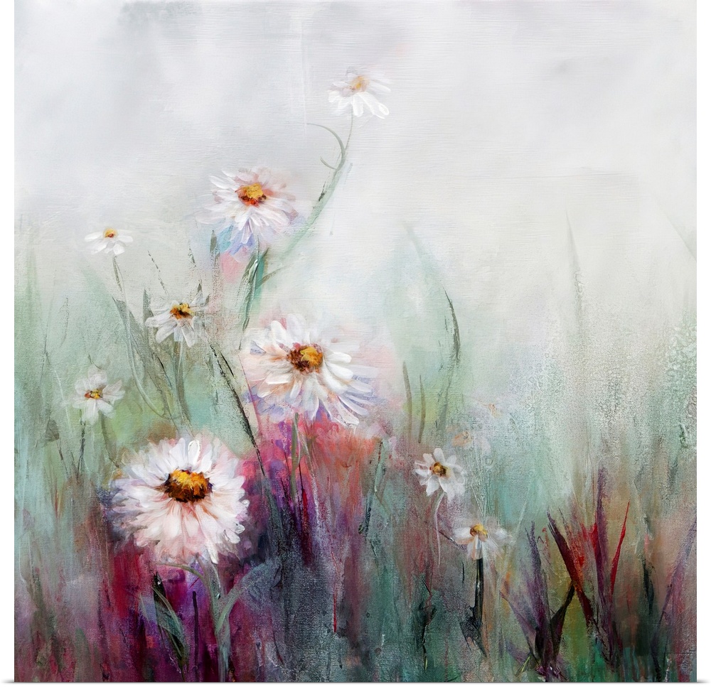 An ethereal painting of white oxeye daisies mixed with tones of pink in front of a misty white background