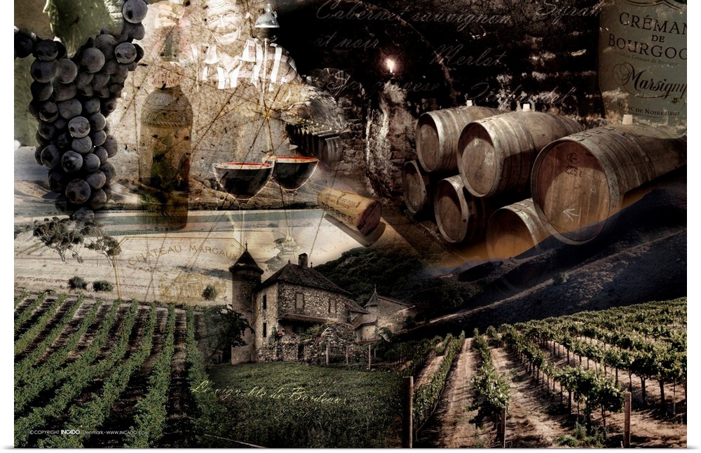Image composite of a wine vineyard, including grapes and wine barrels.